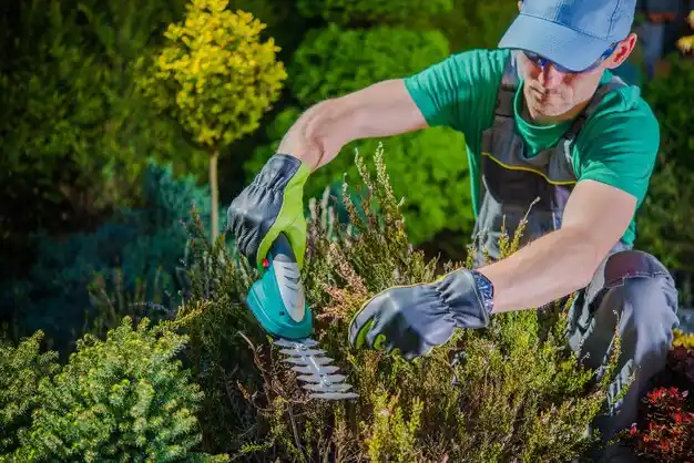 landscaping services Gibraltar